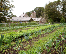 Fall Field & Stone Barn
