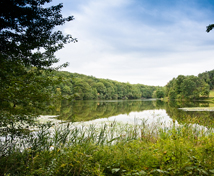Rockefeller State Park